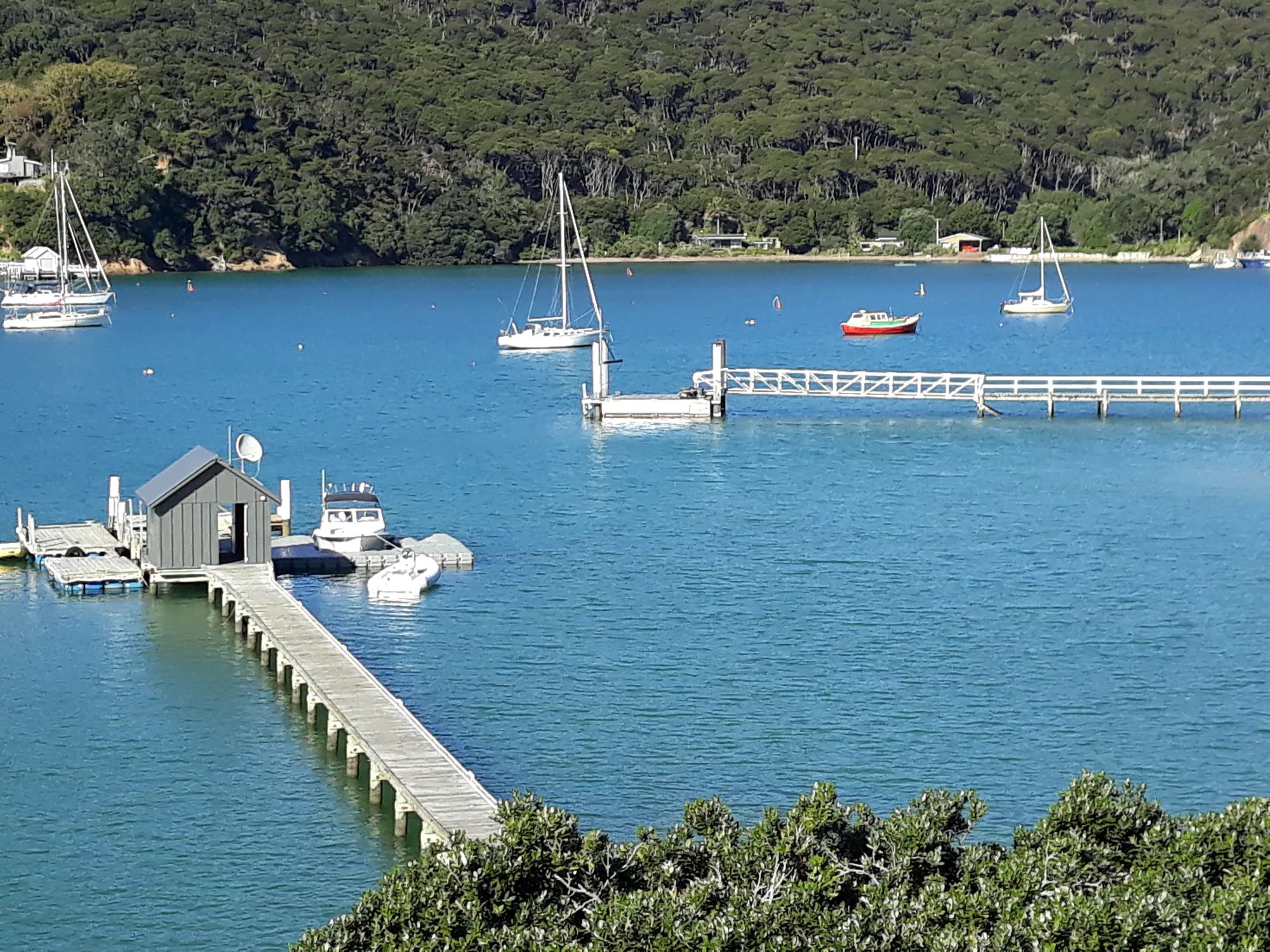 Long jetty out to a floating dock beside a boatshed in a bush-lined bay