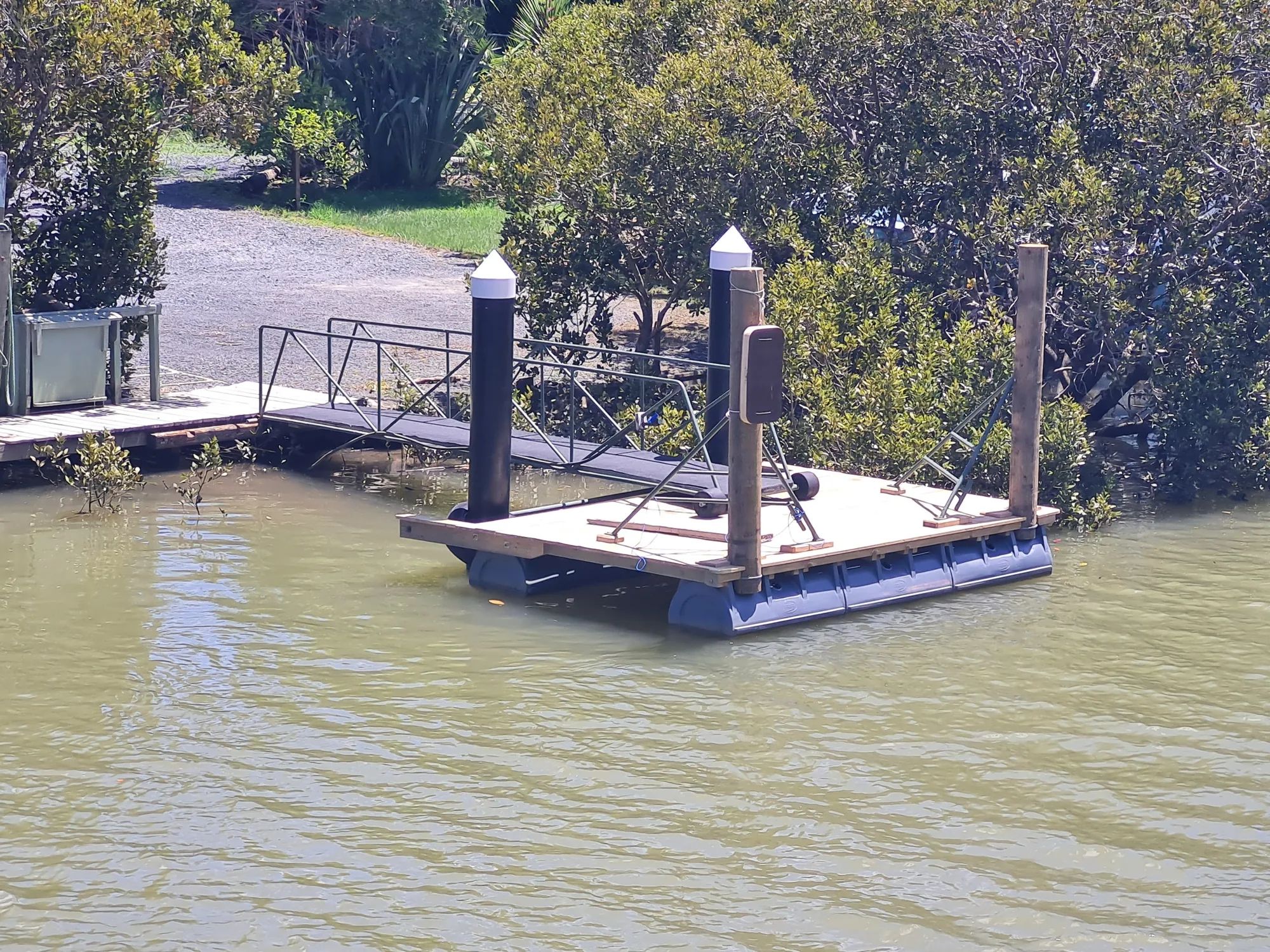 Floating dock on blue pods held by two piles, with a gangway from the bank of a mangrove creek